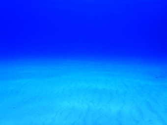 blue.jpg