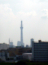 東京スカイツリー★