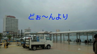 20101107112505.jpg