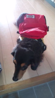 20100228163446.jpg