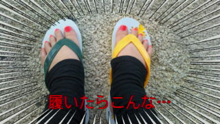 20101111140516.jpg