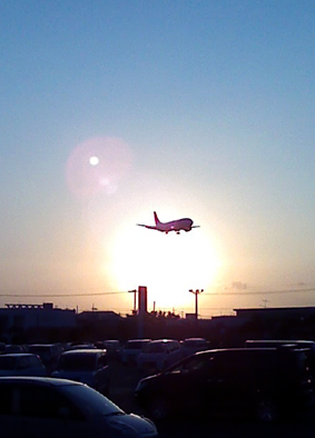 L7050018.JPG