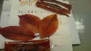 20101123104042.jpg