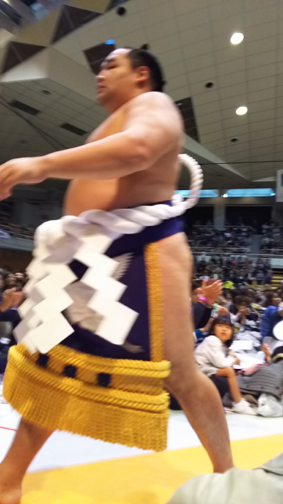 40綱締実演鶴竜.png