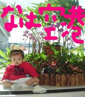 sake 001.jpg