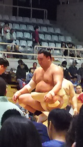 30日馬富士.png