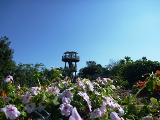 バンナ公園