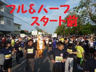フルハーフ