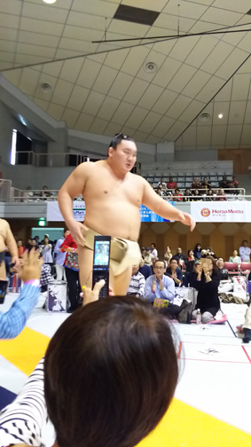 25白鵬2.png