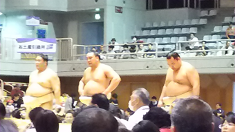18横綱.png