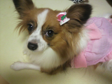 2010122118420001.jpg