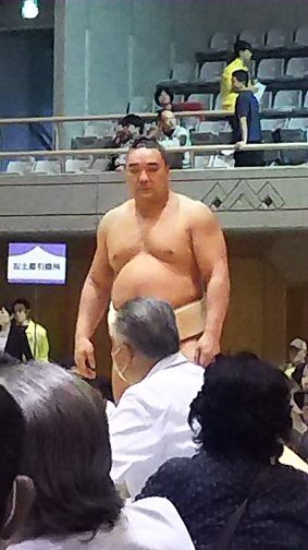 14日馬富士.png