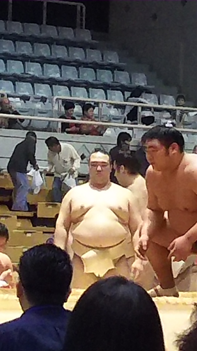 13稀勢ノ里.png