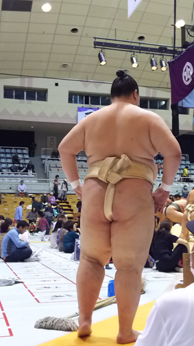 10逸ノ城.png
