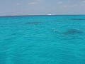 s-P3051056.jpg