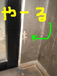 sake 097.jpg