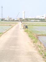 おじい