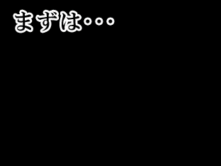 トライアスロン2011.gif
