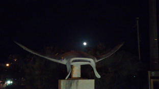 NEC_0011.jpg