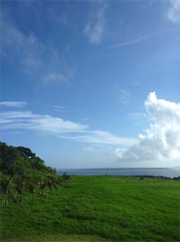風景