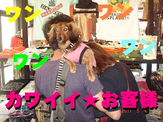 画像 004.jpg 画像 004.jpg
