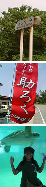 入館