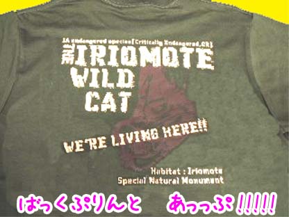 ヤマネコ　後.jpg
