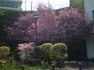CIMG0036.JPG