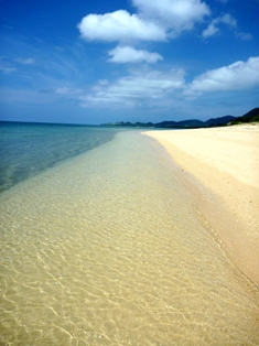 海