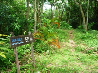 小道