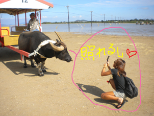 由布島.JPG
