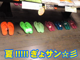 なんつっても「ぎょサン」.jpg