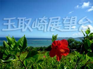 玉取崎 玉取崎