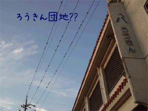 雀の団地？？.gif