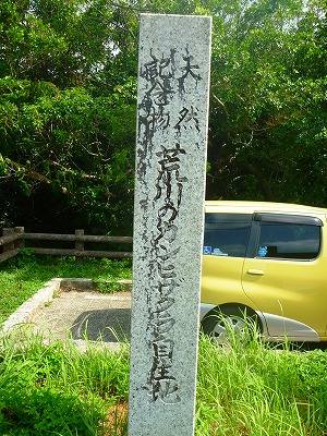 荒川 荒川