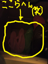 CAYRZYP1.jpg