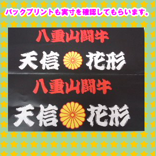 バックプリントの確認.jpg