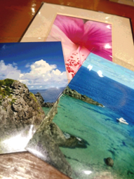 DSC_060310_haibiPC.JPG