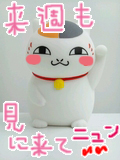 にゃんこ先生♪.jpg