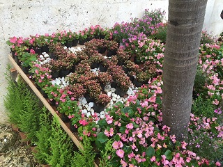 祝