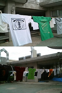 Ｔ展
