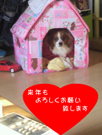 2011122617050000のコピー.jpg