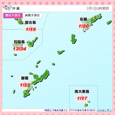 沖縄県の開花予想日.jpg