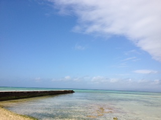 20120317.JPG