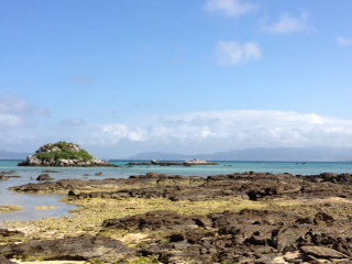20120317-3.JPG