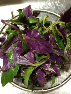 20120324.JPG