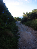 NCM_0065.JPG