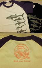 サメＴシャツ