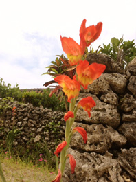 20120421.JPG
