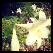 20120421-2.JPG